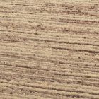 Gyapjú szőnyeg 199x288 vastag nappali szőnyeg