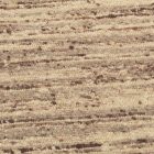 Vastag gyapjú szőnyeg 90x157 egyszínű nappali szőnyeg