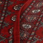 Futószőnyeg bordó Bukhara 81x302 Pakisztáni kézi csomózású szőnyeg