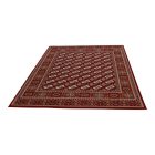 Luxus szőnyeg bordó 160x230 elegáns nappali szőnyeg akrilból  -872417R160230