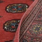 Futószőnyeg rózsaszín Bukhara 76x233 Pakisztáni kézi csomózású szőnyeg