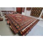 Nagyméretű szőnyeg Kazak 548x424 kézi csomózású keleti szőnyeg