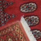 Pakisztáni szőnyeg rózsaszín Bukhara 81x119 kézi csomózású szőnyeg