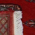 Futószőnyeg bordó Bukhara 64x179 Pakisztáni kézi csomózású szőnyeg