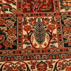 Klasszikus szőnyeg bordó 150x225 gépi szőnyeg a nappaliba Bakhtred150225