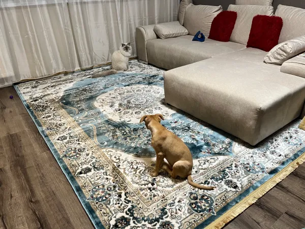 olcsó szőnyeg 200x300cm